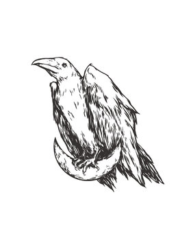 White raven sitting on the moon. Crescent and crow. Graphic original illustration. It can be used for printing on t-shirts, postcards, or used as ideas for tattoos.