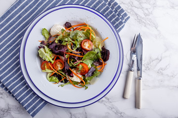 Fresh salad with mozzarella cheese