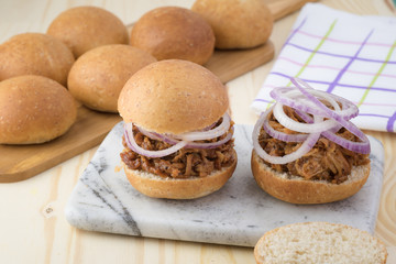 Pulled pork sandwich with BBQ sauce and onion.