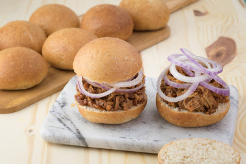 Pulled pork sandwich with BBQ sauce and onion.