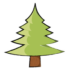 Pine tree icon image