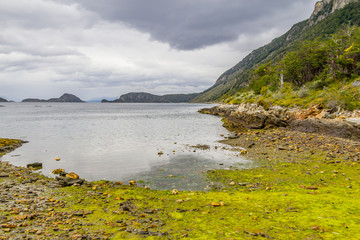 Beach in Lapataia bay,Tierra del Fuego National Park