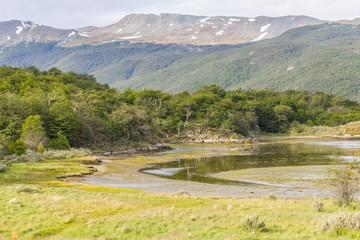 Fototapeta na wymiar Lapataia bay,Tierra del Fuego National Park