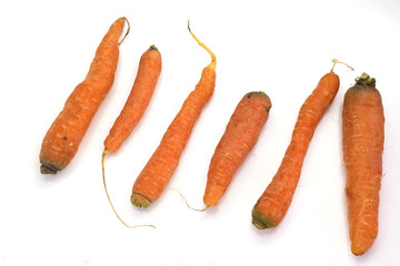 group of carrots isolated on white background