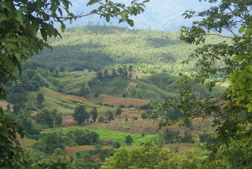 Fototapeta na wymiar landscape of mountain and green hill