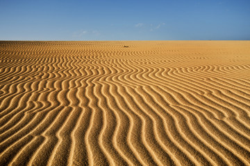 sand dunes of Corralejo in Fuerteventura, Spain © nito