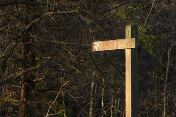 wooden sign in the forest