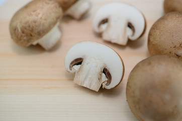 マッシュルーム