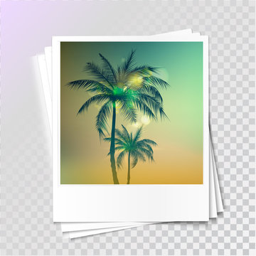 photo frame on a transparent background with palm image. Vector illustration.EPS10