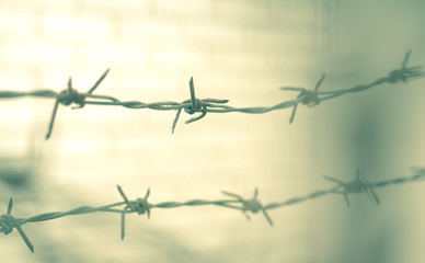 Holocaust and death concept: Close up abstract barbed wire of jail and prison