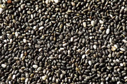 Chia-Samen