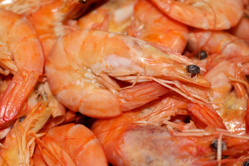 Shrimp - food