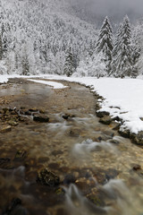Le Guiers-vif au Cirque de Saint M&ecirc;me en Hiver