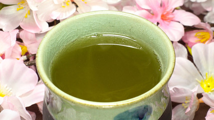 Japanese green tea cherry blossom background.