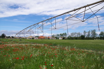 Arrosage et irrigation