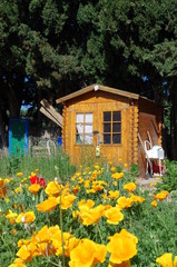 Cabane de Jardins ouvriers 