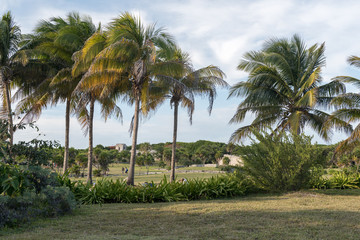 Die Maya-Ruinen von Tulum