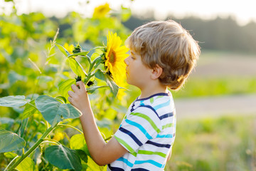 Adorable little blond kid boy on summer sunflower field outdoors