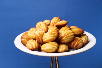 Homemade freshly baked cookies with walnuts
