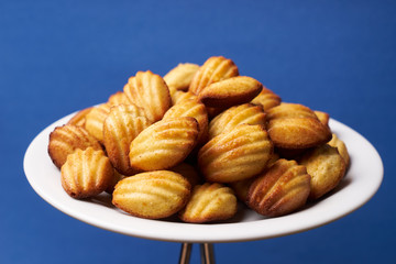 Homemade freshly baked cookies with walnuts