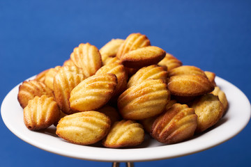 Homemade freshly baked cookies with walnuts