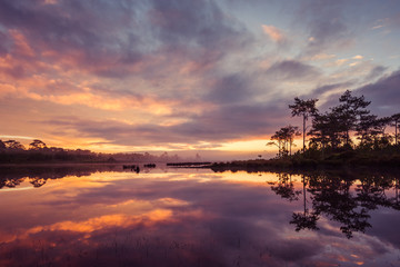 Obraz na płótnie Canvas Fog rises over Marsh Lake at sunrise in Pine forest