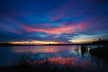 Grass flower on sunset landscape