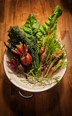 Freshly picked vegetables on wooden table