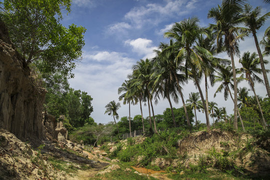 Suối Ti&ecirc;n - B&igrave;nh Thuận