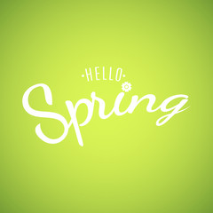 Hello Spring. Text banner on a light green background. Background for your design. Lettering and calligraphy. Spring Flower. Vector illustration