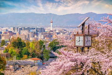 Kyoto city skyline with sakura - obrazy, fototapety, plakaty
