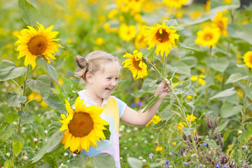 Child in sunflower field. Kids with sunflowers.