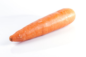 carrot on white background