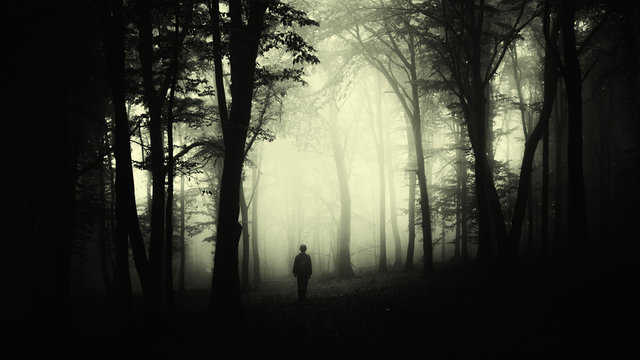 Fototapeta man silhouette wandering in forest at night, dark scary surreal landscape