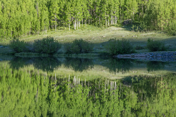 Scenic Reflection in a Colorado Wilderness Lake in Summer