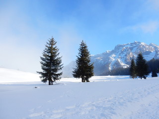 Dolomiti del Brenta - Madonna di Campiglio