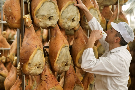 In a ham factory, a man in charge of quality control walks between the hams and controls, the perfume and the certified Italian quality. Concept of: tradition, Italy, food, ham
