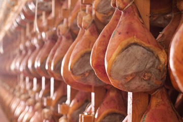 In a ham factory there are hams hung to season after having undergone the various processes according to the ancient Italian tradition. Concept of: tradition, italy, food. - obrazy, fototapety, plakaty
