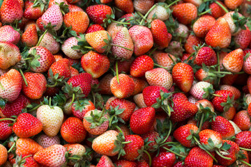 Strawberry red texture group background.