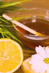 A set of spa essentials with lemon, a bowl of honey, a bar of soap and a green plant on a natural dark wooden background, close up