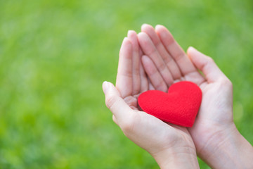Obraz premium red heart in woman hand on green grass background