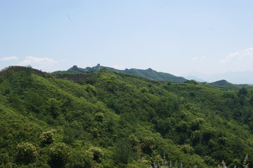 SONY DSC