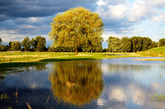 Trebur, Hessen,Gro&szlig; Gerau, 