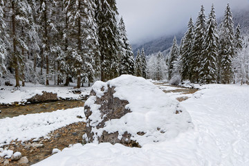 Un rocher, une rivière et beaucoup de sapins sous la neige