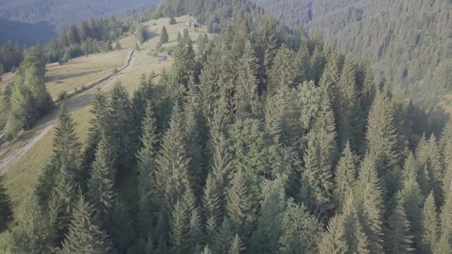 Panoramic view to summer carpathian mountains near by Dzembronya village, Ukraine