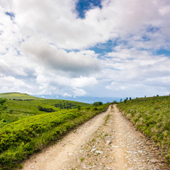 Fototapeta na wymiar road through mountain meadows. beautiful landscape of Polonina Runa ridge on a cloudy summer day