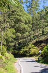 The Blackpool-Ambewela-Pattipola-Horton Plain Road leads across dry woodlands and moist broadleaf forests to the Horten Plains and Worlds End