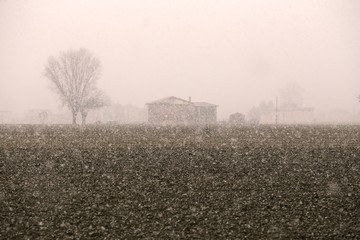 Snowing field