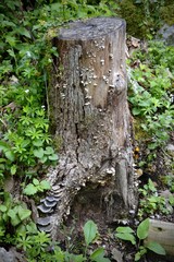 Obraz premium installation