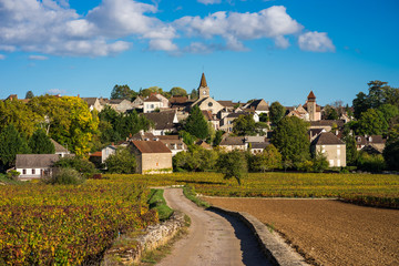 Fototapeta na wymiar village de Bourgogne